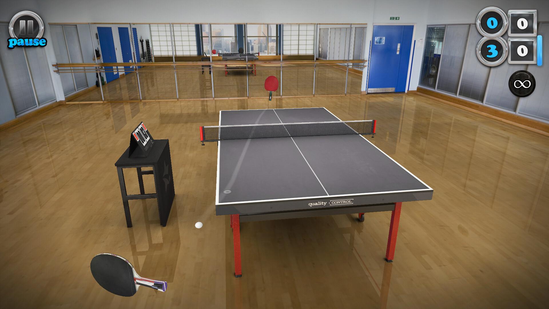 Table Tennis Touch 1 (1)