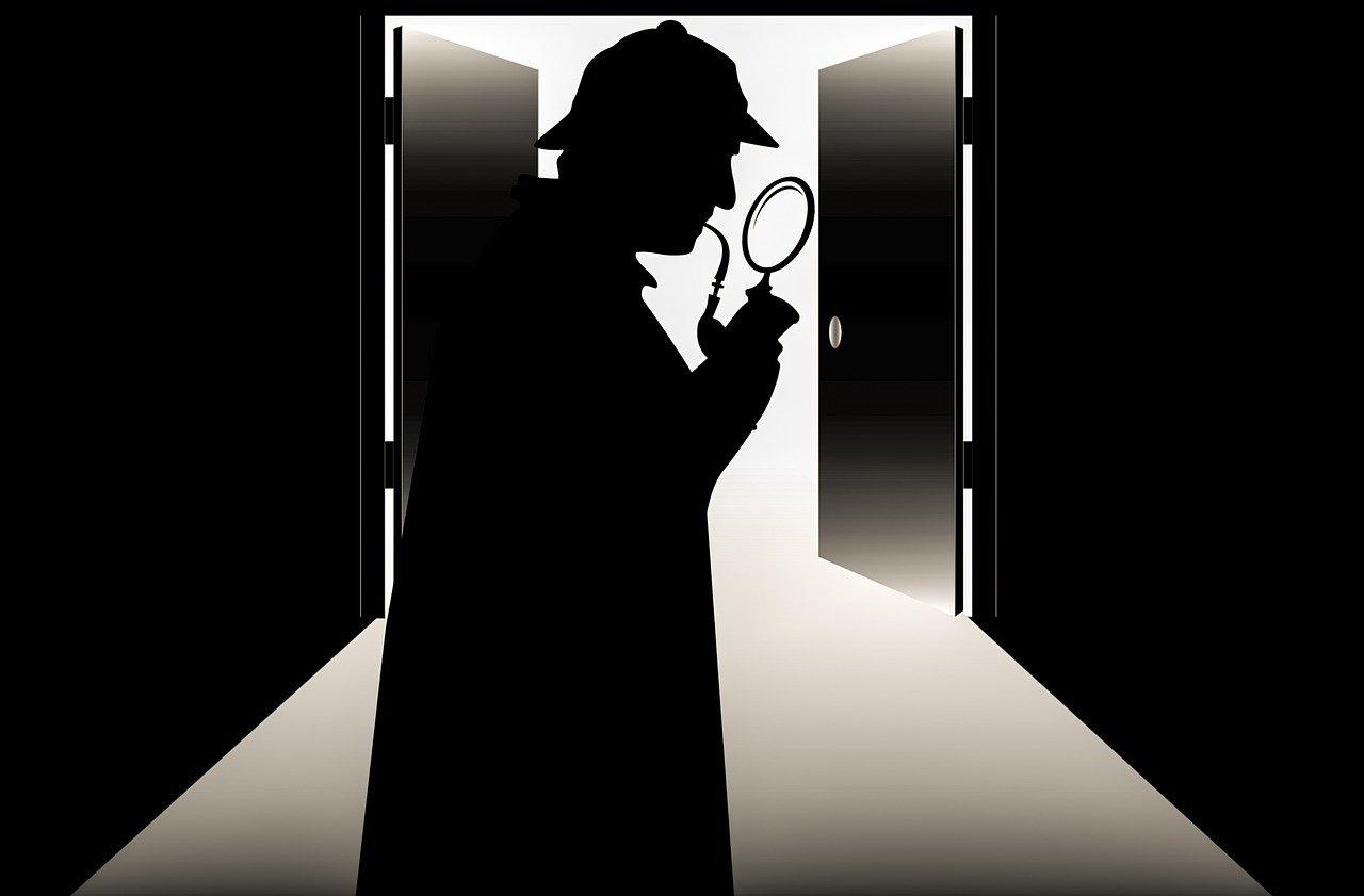 Detektive und Spione 0 (0)