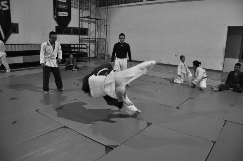 Judo 3 judo 333779 1920