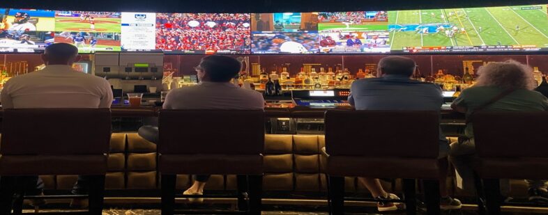 Online Sportwetten – diese 6 Unterschiede gibt es jetzt zwischen den Buchmachern 2 Online Sportwetten