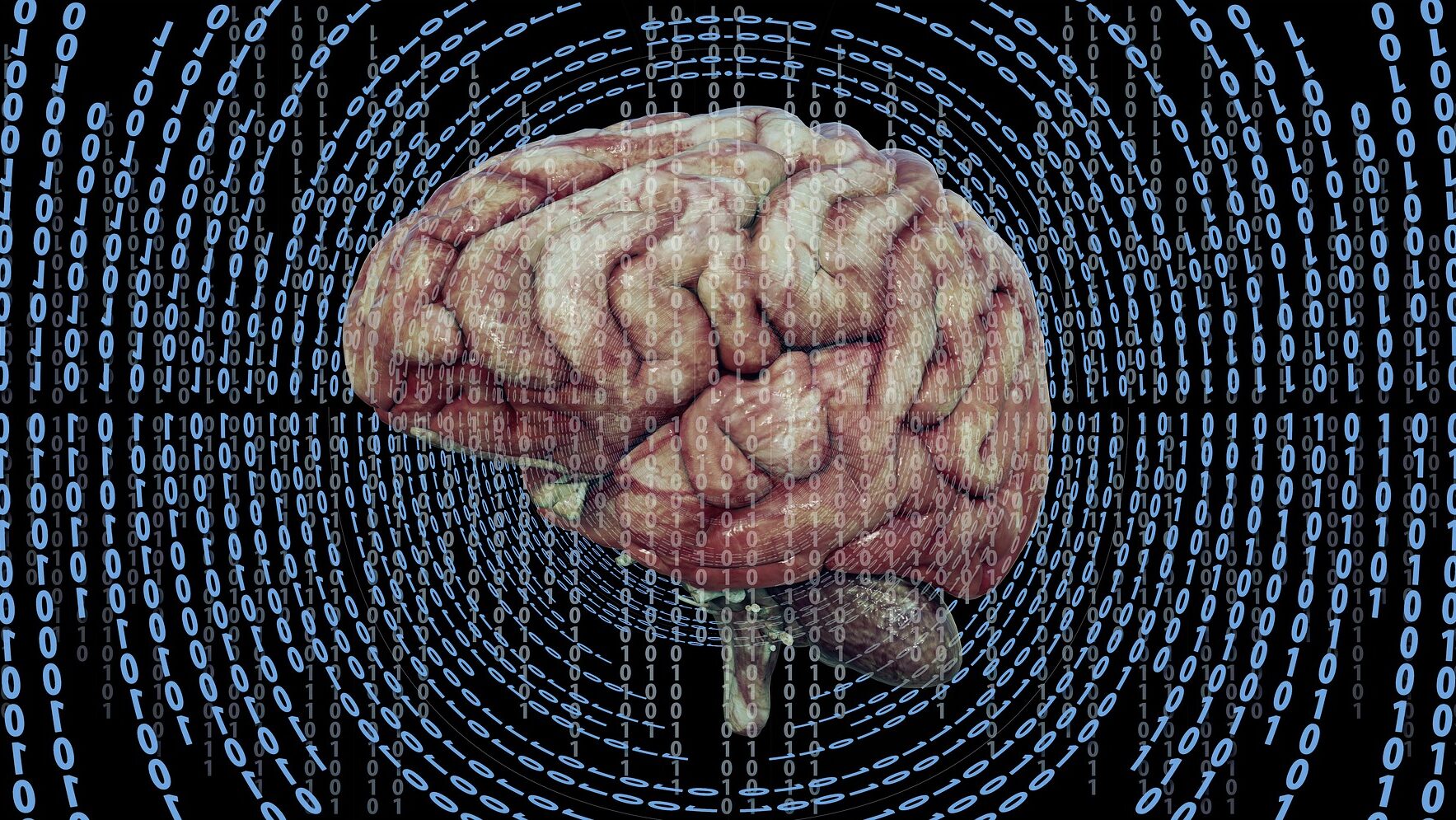 Die besten 10 Gedächtnisspiele 2 brain 6553818 1920 edited