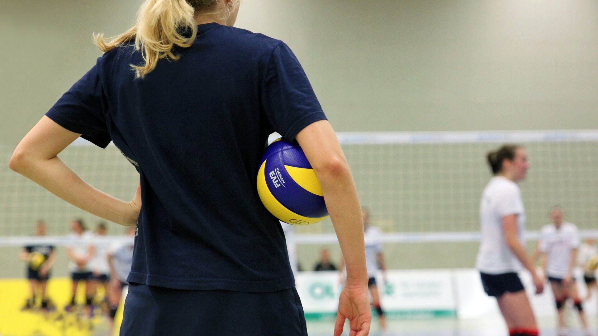 regeln volleyball
